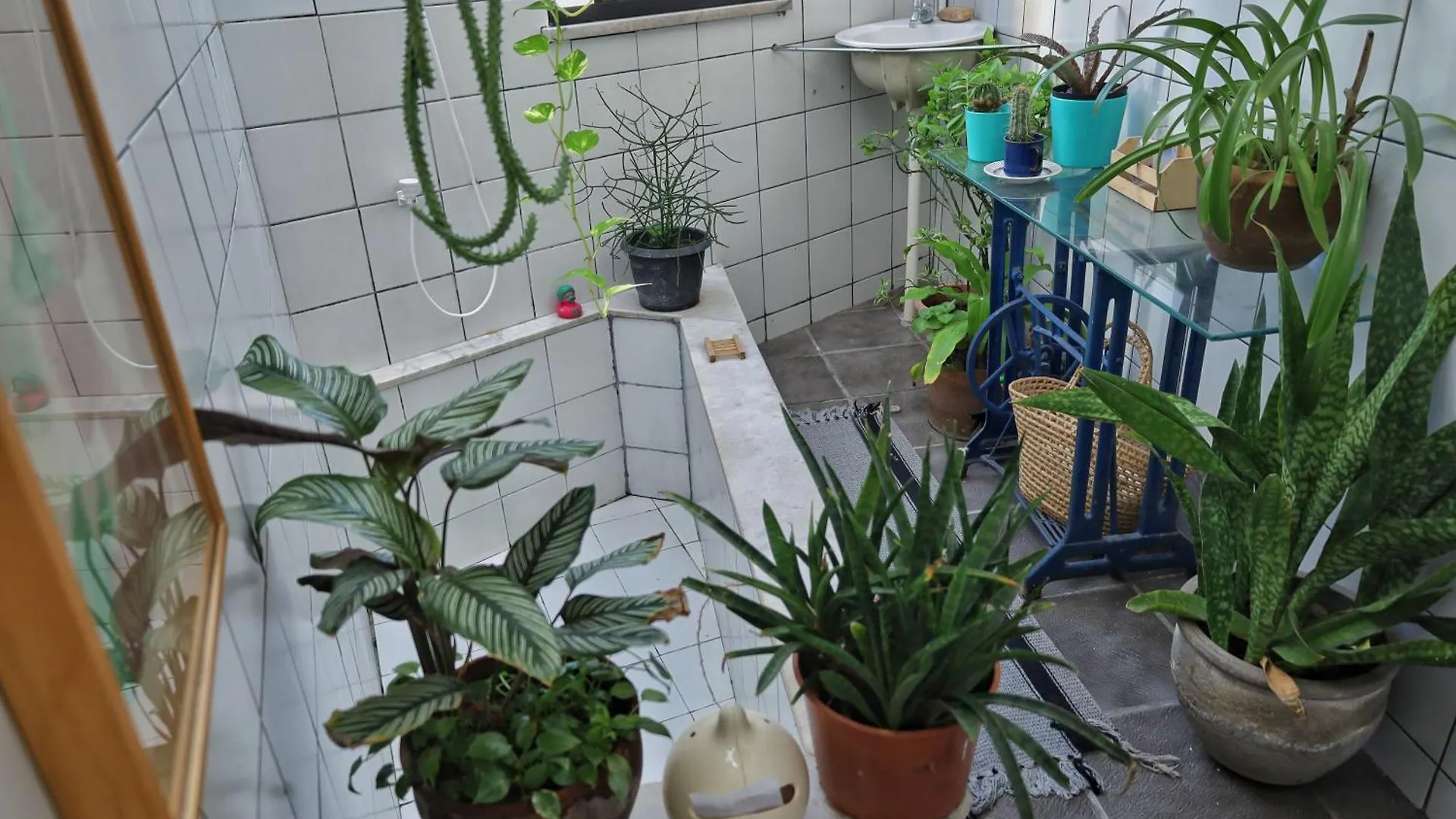 בית אירוח דירות פורטאלזה Casa Iracemar ברזיל